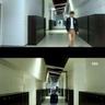 宠物医院养殖知识